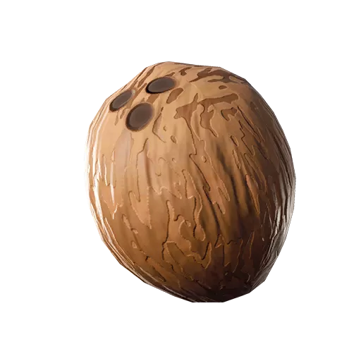 Kokos (Coconut)