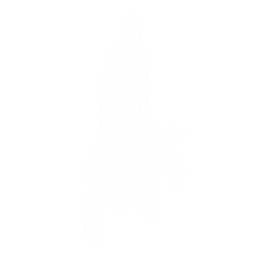 Pląs (Bouncer)