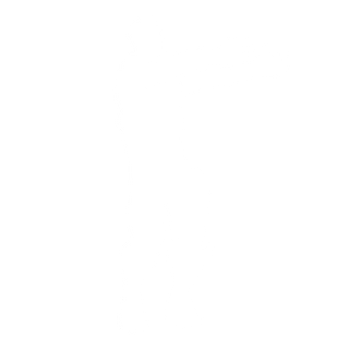 Styl Ninja (Ninja Style)