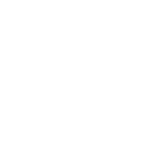Charakterystyczne Podrygi (Signature Shuffle)