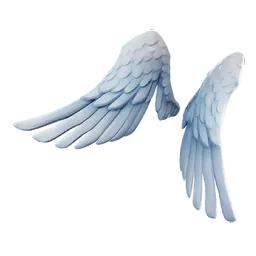 Anielskie skrzydła (Ark Wings)