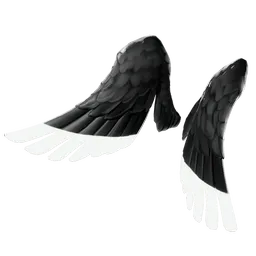 Skrzydła Anielicy z Cienia (Shadow Ark Wings)