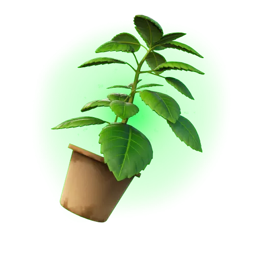 Zielone Zioło (Green Herb)