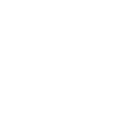 Stuntman (Stuntman)