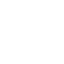 Biały Ranger (White Ranger)