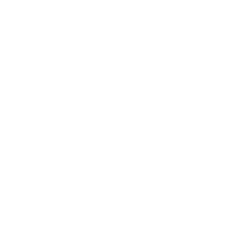 W stylu Jokera (Jokerized)