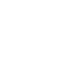 Reel Life (Reel Life)