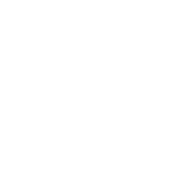 Ford Bronco Raptor (Ford Bronco Raptor)