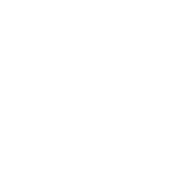 Naśladowca (Copycat)