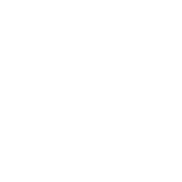 Postrzelony Lis (Shot Fox)