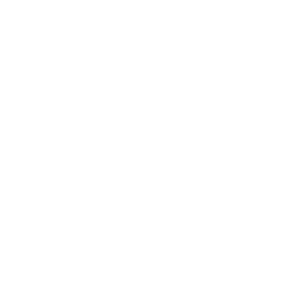 Skrzydła (Wings)