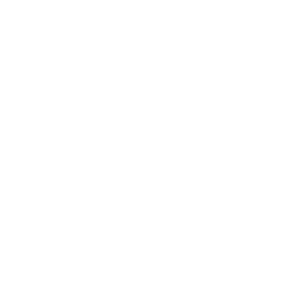 Ostatnia prosta (Home Stretch)