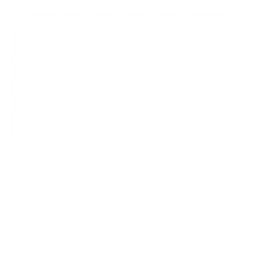 Silver (Silver)