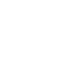 Faza deadmau5a (deadmau5 Phase)