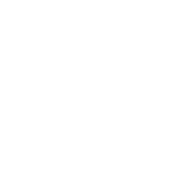 Płomień deadmau5a (deadmau5 Blaze)