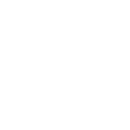 Celownik (Crosshair)