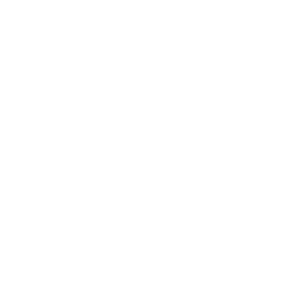 Motorowy Potwór (Motor Monster)