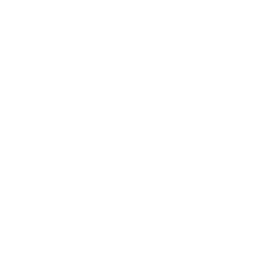 Paski (Stripes)