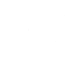 Disco (Surf Curse) (Disco (Surf Curse))
