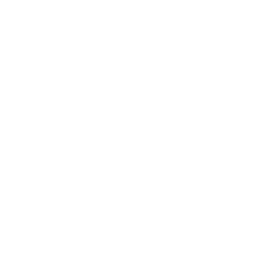 Diagnostyka O.M.E.G.A. (O.M.E.G.A. Diagnostic)