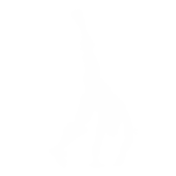 Gwiazda (Cartwheelin)