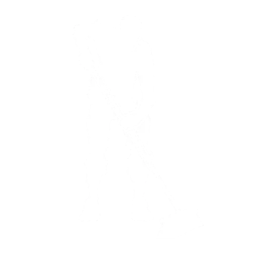 Zamiatanko (Clean Sweep)