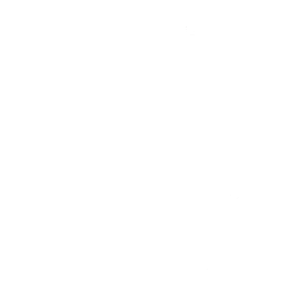 Tryb bojowy Małego Zorda (Lil Zord Battle Mode)