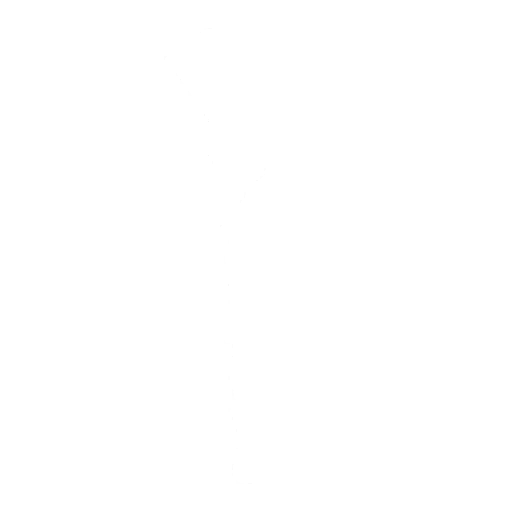Latawiec! (Kite!)