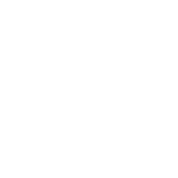 Pancerna minifurgonetka (Lil Armored Truck)
