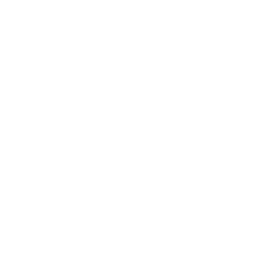Mikrobrót (Microflip)