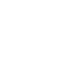 Poczuj Moc (Feel the Force)