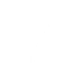 Nanitowe popisy (Nanite Flex)