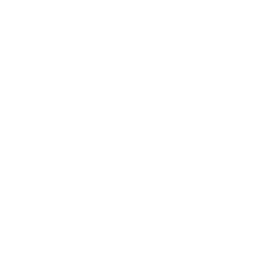 Around the World (Around the World)