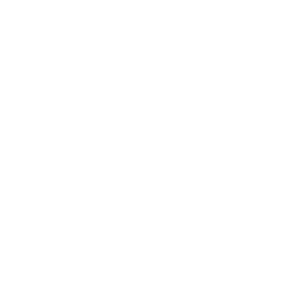 Mistrzowski Medal (Champions Medal)