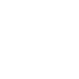 I Lied, Im Sorry (I Lied, Im Sorry)