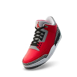 Air Jordan 3 SE „Unite” (Air Jordan 3 SE Unite)
