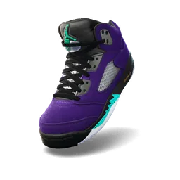 Air Jordan 5 Retro Reverse Grape (Air Jordan 5 Retro Reverse Grape)