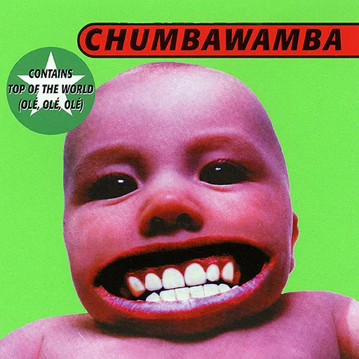 Tubthumping ()