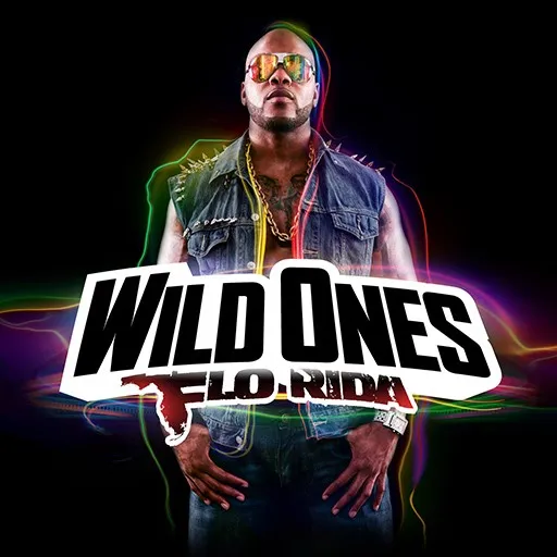 Wild Ones ()