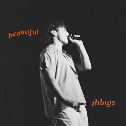 Beautiful Things ()