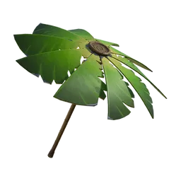 Liść Palmy (Palm Leaf)