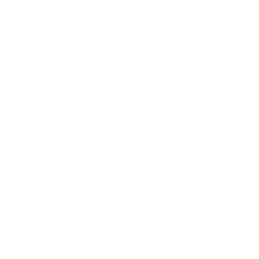Unicycle Unicycle